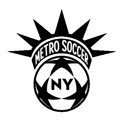 Metro Soccer NY logo